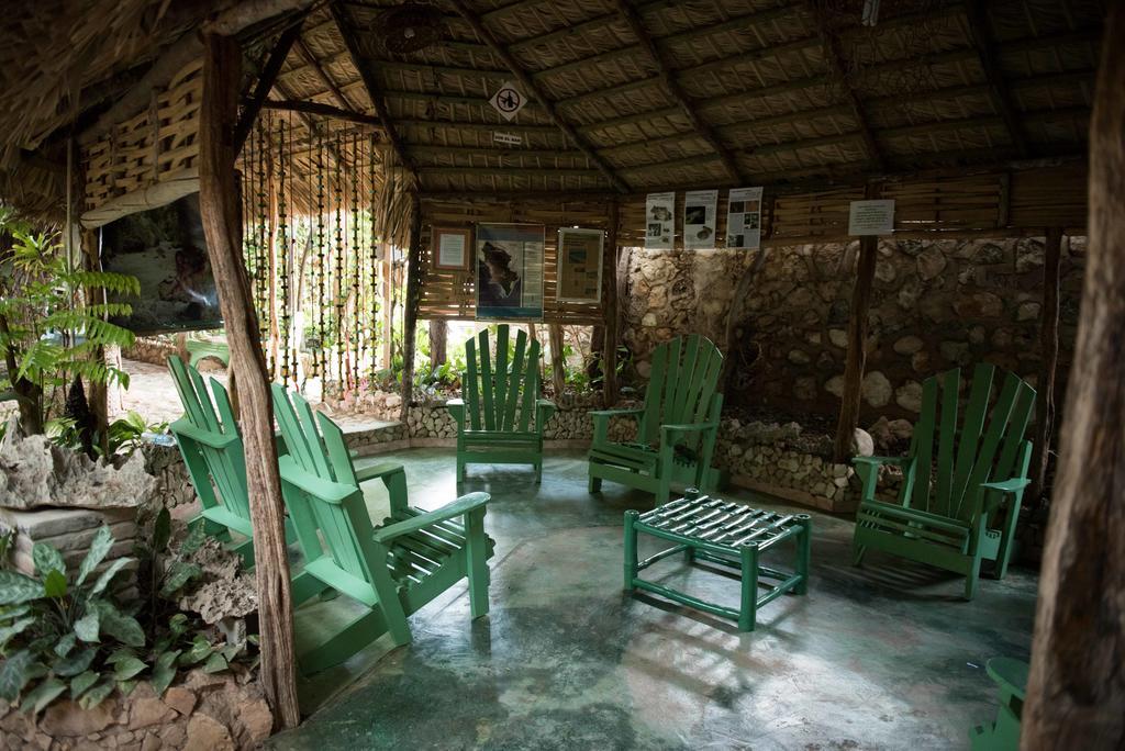 Hostal Dona Chava เปเดร์นาเลส ภายนอก รูปภาพ