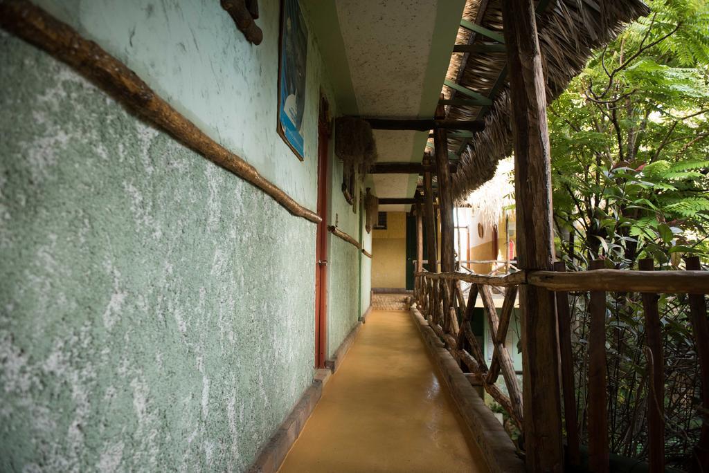 Hostal Dona Chava เปเดร์นาเลส ภายนอก รูปภาพ