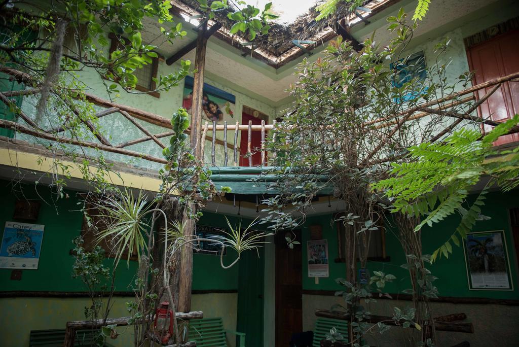 Hostal Dona Chava เปเดร์นาเลส ภายนอก รูปภาพ