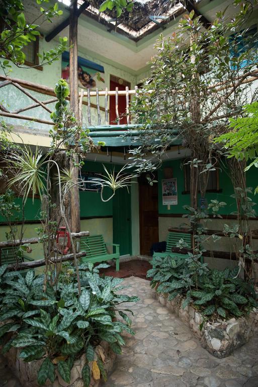 Hostal Dona Chava เปเดร์นาเลส ภายนอก รูปภาพ